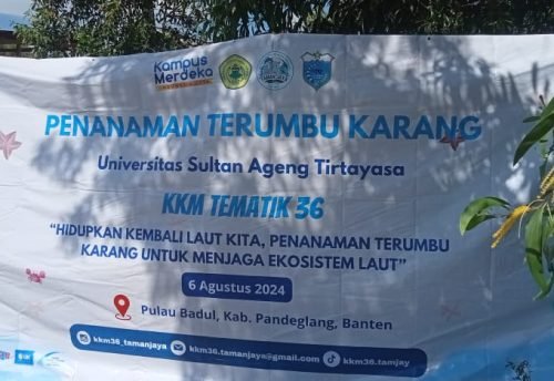 MAHASISWA UNTIRTA BAKAL TRANSPLANTASI 100 FRAGMEN KARANG DI PULAU BADUL